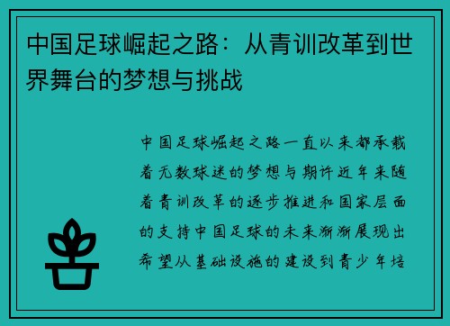 中国足球崛起之路:从青训改革到世界舞台的梦想与挑战