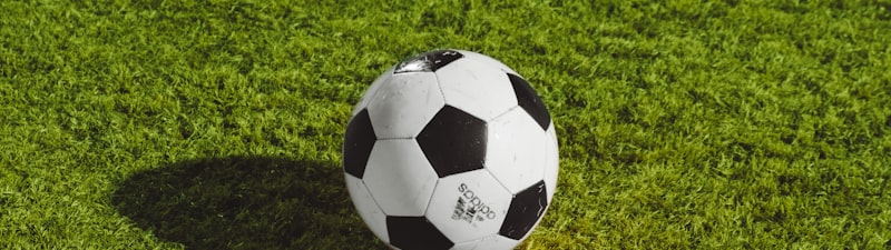 世界杯决赛精彩瞬间 - 球员庆祝进球，观众欢呼