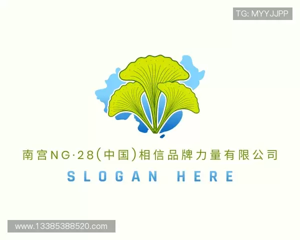 介绍28NG相信品牌的力量